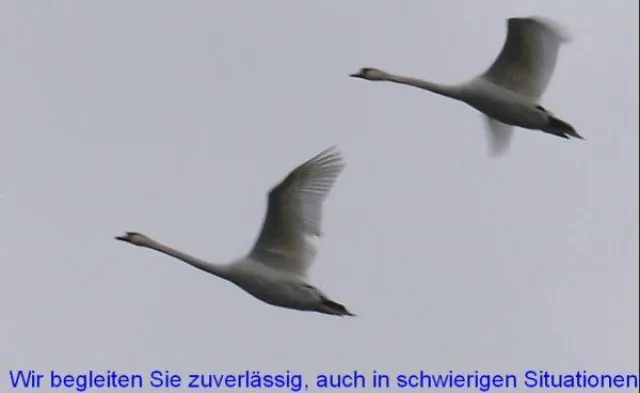 Bild: Infoveranstaltung und Flugangstseminar am 13./14. Juli, direkt in Bremen