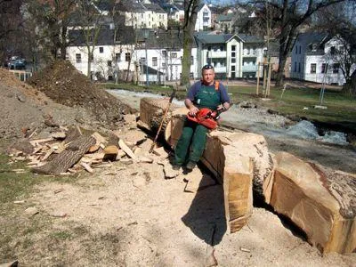 Aufruf zur Pflanzaktion Weinholdplatz in der Reichenbacher Innenstadt zur 5. Sächsischen Landesgartenschau 09 Bild: Aufruf zur Pflanzaktion Weinholdplatz in der Reichenbacher Innenstadt zur 5. Sächsischen Landesgartenschau 09
