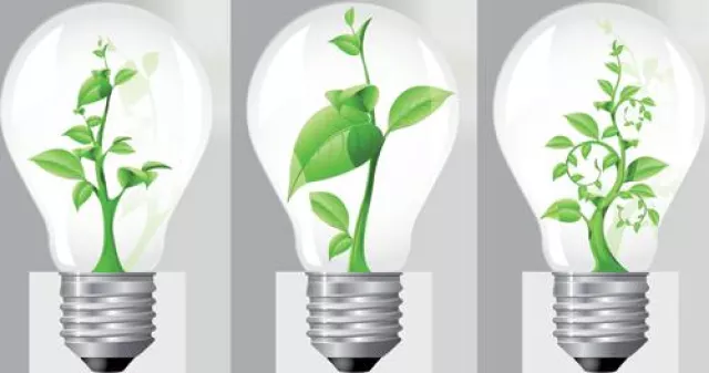 Bild: Grüne Lichtquelle bei Lighting EVER - umweltfreundlich und energiesparend