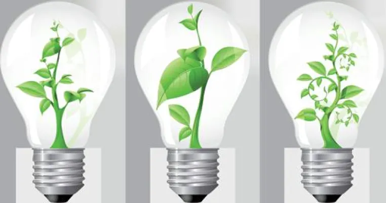 Bild: Grüne Lichtquelle bei Lighting EVER - umweltfreundlich und energiesparend