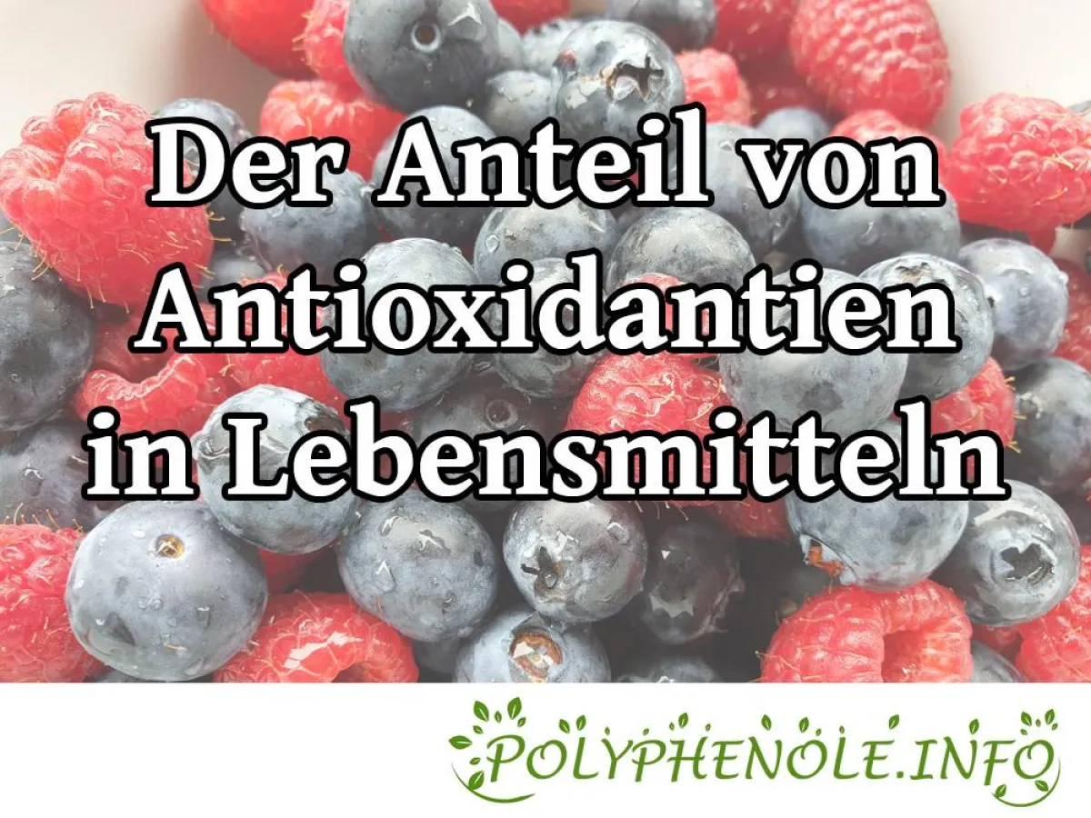 Erdbeeren enthalten viele Polyphenole