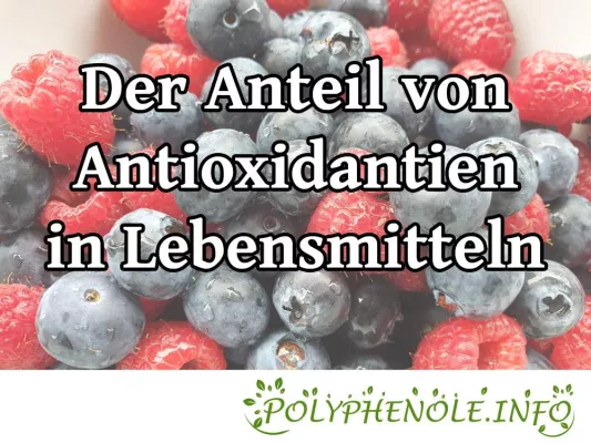 Bild: Anzahl von Polyphenolen in verschiedenen Lebensmitteln