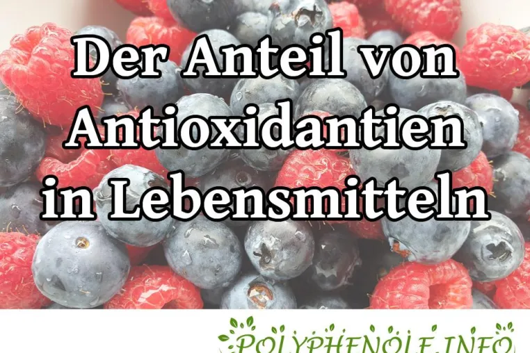Anzahl von Polyphenolen in verschiedenen Lebensmitteln Bild: Anzahl von Polyphenolen in verschiedenen Lebensmitteln