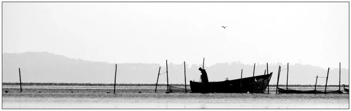 Gewinnerbild vom Stettiner Haff: Fischer am Stettiner Haff (Sten Vondrak)