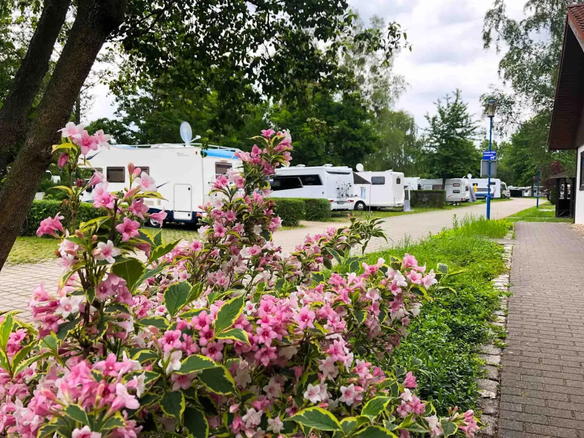 Komfortcamping am Senftenberger See. (c) Zweckverband Lausitzer Seenland Brandenburg