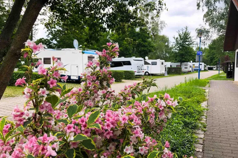 Bild: Osterferienidee: Frühlingscamping am Senftenberger See