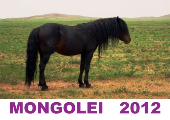 Kalender „Mongolei 2012“ bei Indytravel zum Download Bild: Kalender „Mongolei 2012“ bei Indytravel zum Download
