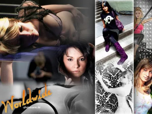 Professionelle Präsentation für Vertreter der Foto- und Filmbranche Bild: Professionelle Präsentation für Vertreter der Foto- und Filmbranche