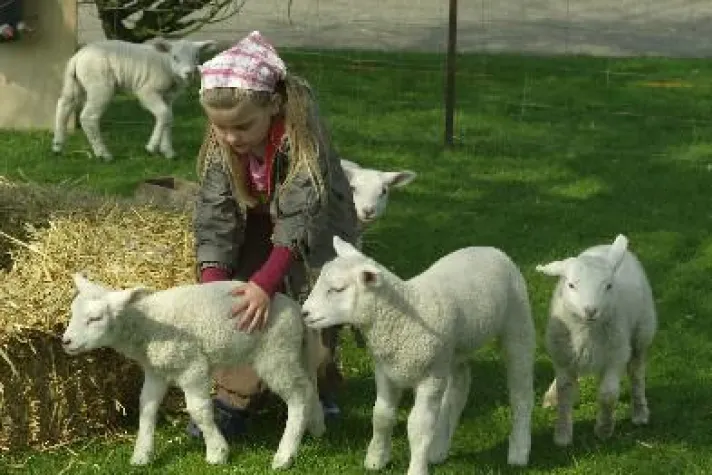 Bild: Größte Ostereier-Suche des Nordens auf Pellworm