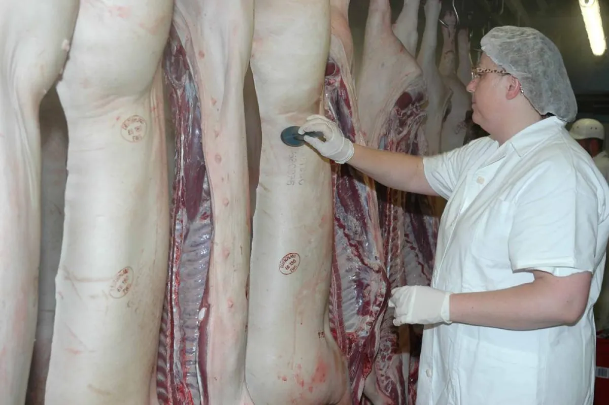 Qualitätsfleisch aus dem FVZ: Zehn ovale Stempel garantieren Güte und Herkunft.