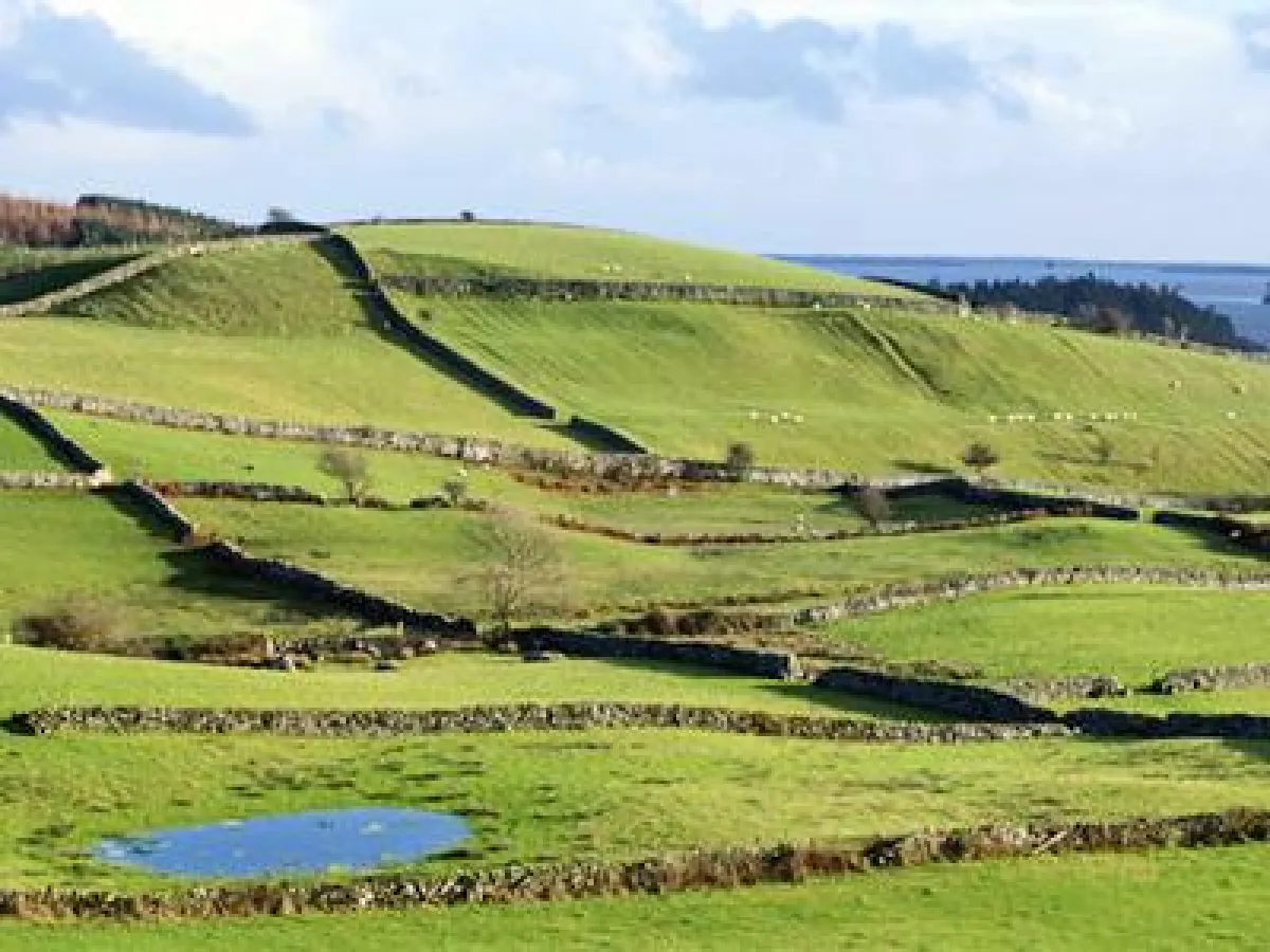 Typische grüne Landschaft in Irland