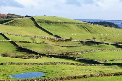 Bild: Englischkurs – Irland oder England? Argumente für die grüne Insel