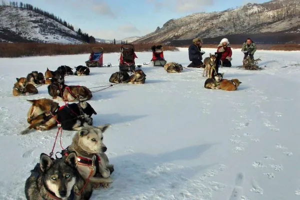 Bild: Hundeschlittentouren in der Mongolei, am Baikalsee und auf Kamtschatka