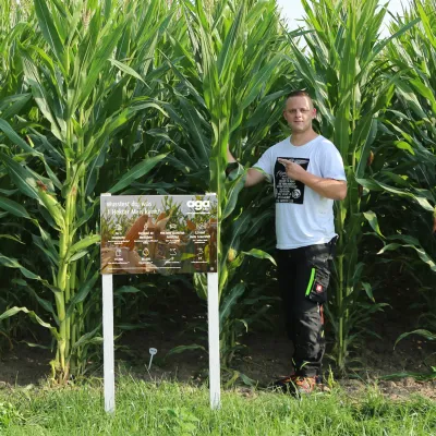 Bild: Neues Feldschild informiert über Mais-Mehrwert