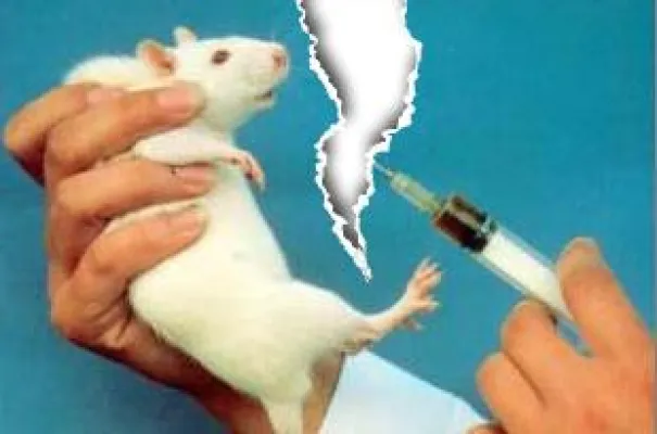 Bild: REACH-Chemikalien-Tierversuche: 60.000 Tiere vor Giftigkeitstests gerettet