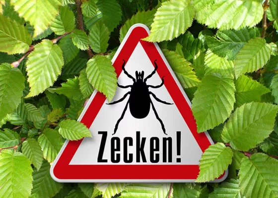 Bild: Alarmzeichen Wanderröte – Zeckenbiss mit Folgen