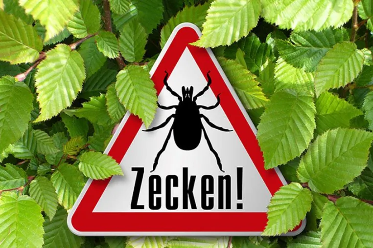 Alarmzeichen Wanderröte – Zeckenbiss mit Folgen Bild: Alarmzeichen Wanderröte – Zeckenbiss mit Folgen