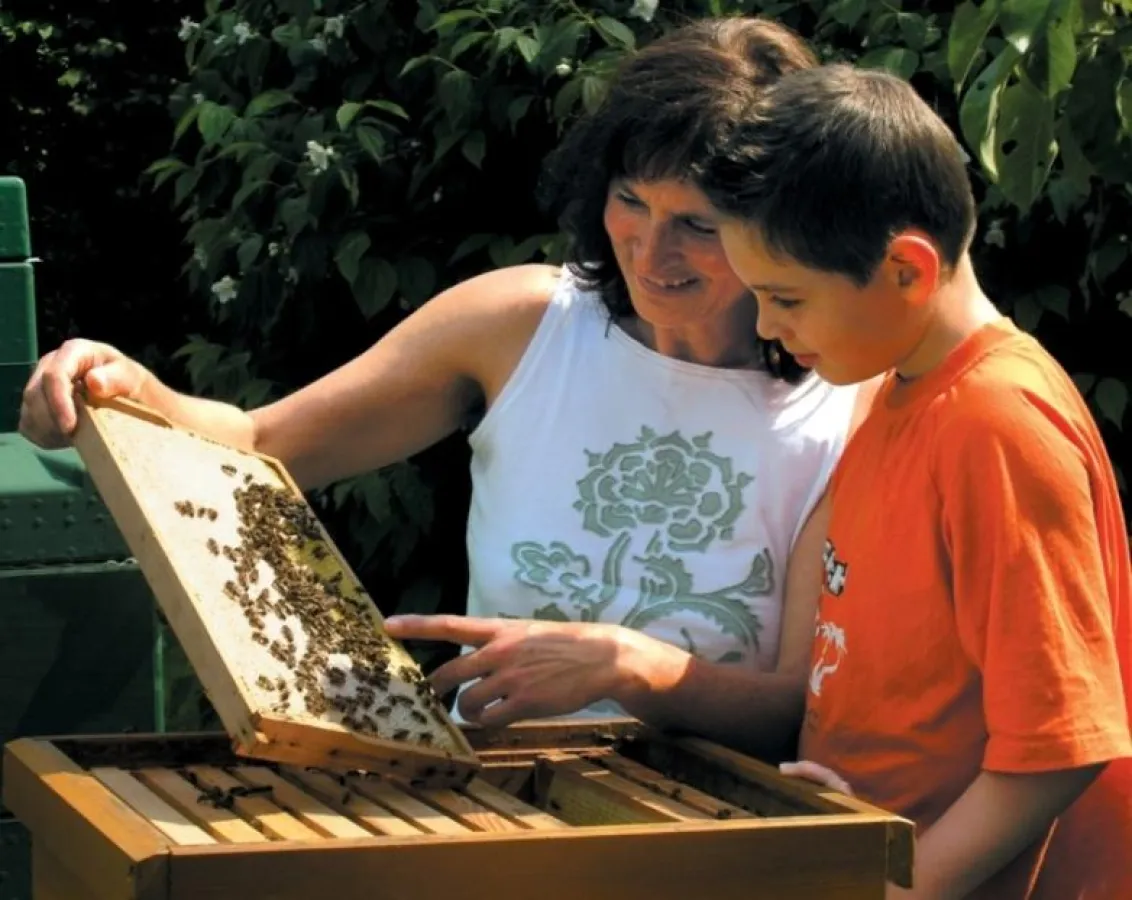 Wird von Bienen gesprochen, denken die meisten an Honig. Er gilt als leckerer Brotaufstrich. Doch Bienen leisten viel mehr. Sie sorgen dafür, dass Obst und Gemüse oder Blumen gedeihen.