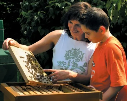 Faszination Biene hautnah erleben Bild: Faszination Biene hautnah erleben