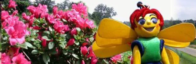 Eine grüne Insel in der Reichenbacher Innenstadt zur 5. Sächsischen Landesgartenschau 2009 Bild: Eine grüne Insel in der Reichenbacher Innenstadt zur 5. Sächsischen Landesgartenschau 2009