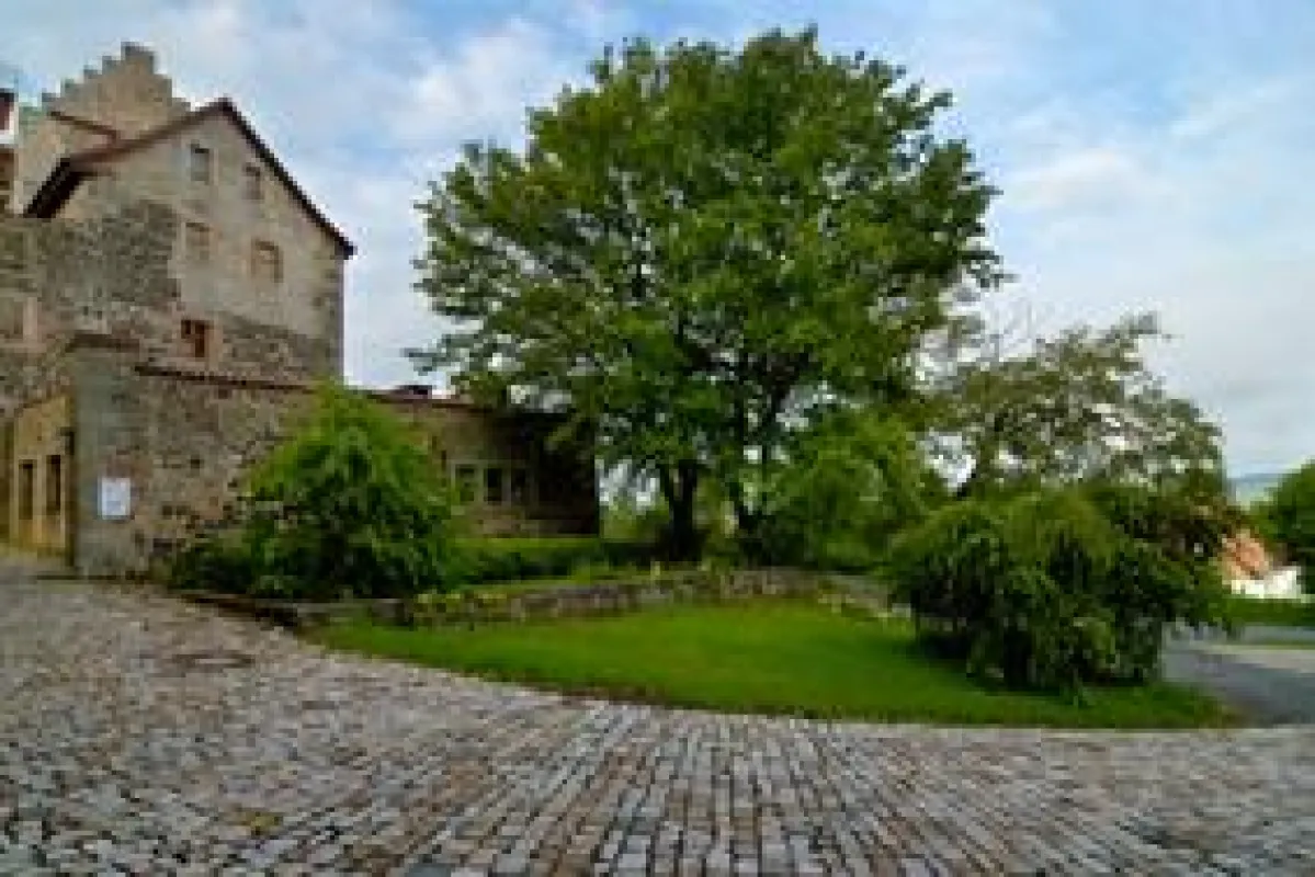 Frühling auf BURG FÜRSTENECK - Akademie für berufliche und musisch-kulturelle Weiterbildung