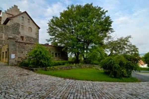 Bild: Die Rückkehr des Frühlings - Qi Gong auf der BURG - für Mitarbeiter/innen aus dem Heil- und Gesundheitsbereich