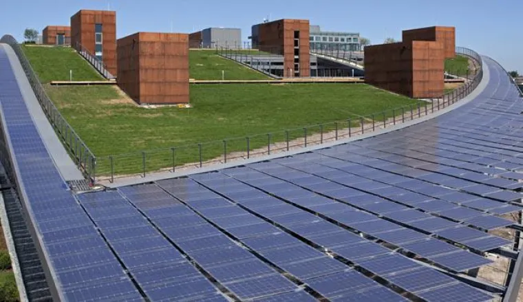 Bild: Neue Fachinformation zum Thema Gründach veröffentlicht