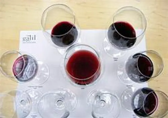 Das Weinland Israel auf der ProWein 2009 in Düsseldorf Bild: Das Weinland Israel auf der ProWein 2009 in Düsseldorf