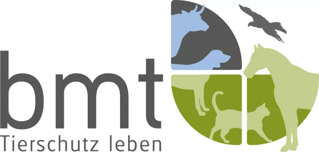 Bild: Halbherzige Verbesserungen des EU-Tiertransportrechts