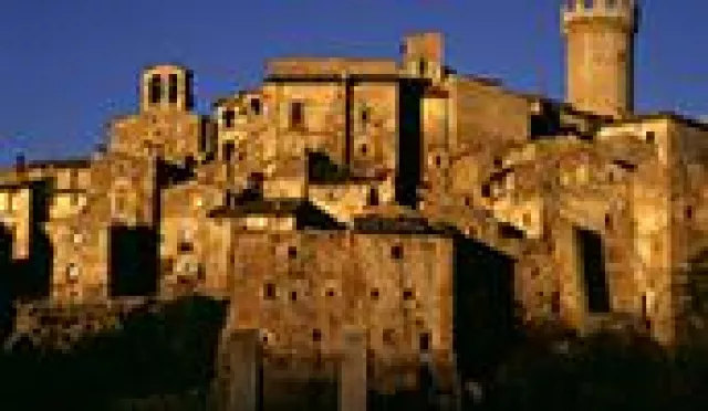 Bild: Weinbau in den Abruzzen
