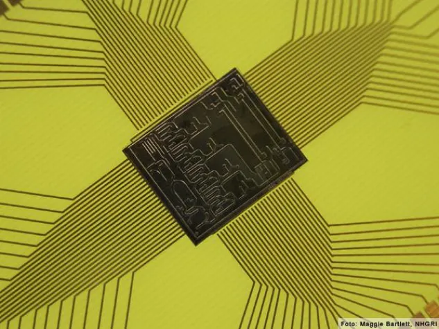 Vergleichsstudie: Kaum Unterstützung für innovative Testmethoden Bild: Vergleichsstudie: Kaum Unterstützung für innovative Testmethoden