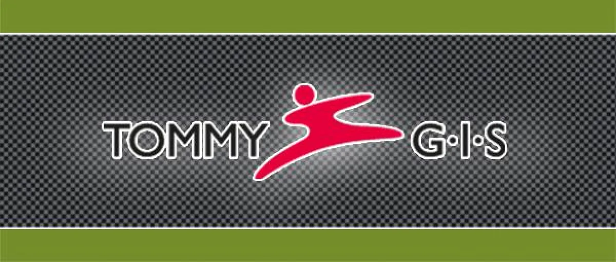 Tommy-GIS - Ein Onlineanbieter für Sportprodukte