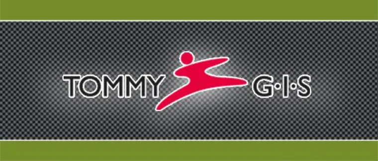 Bild: TOMMY-GIS Team holt sich Gold beim Benefiz-Golfturnier in Hünxe