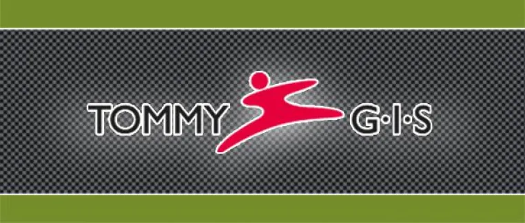Bild: TOMMY-GIS Team holt sich Gold beim Benefiz-Golfturnier in Hünxe