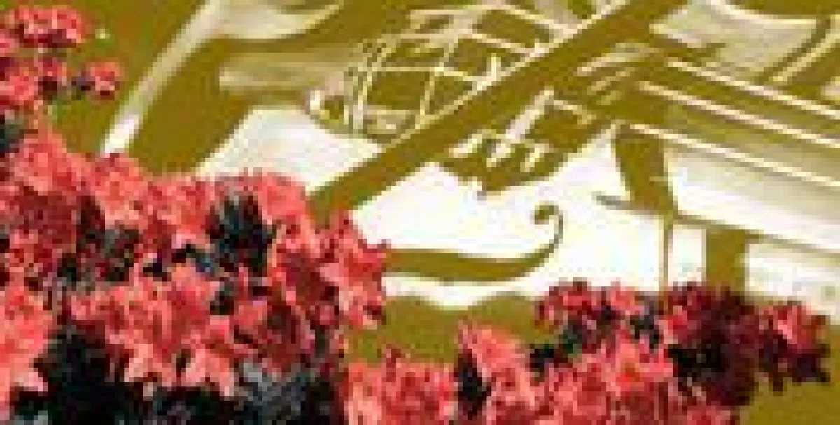 18. Chursächsischer Sommer