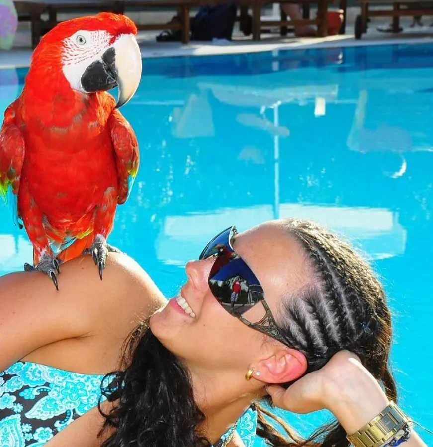 Italienerin mit Sonnenbrille