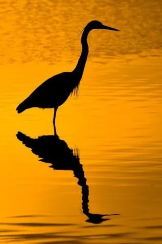 Bild: Aufbau-Lehrgang Tierfotografie im Naturzoo Rheine