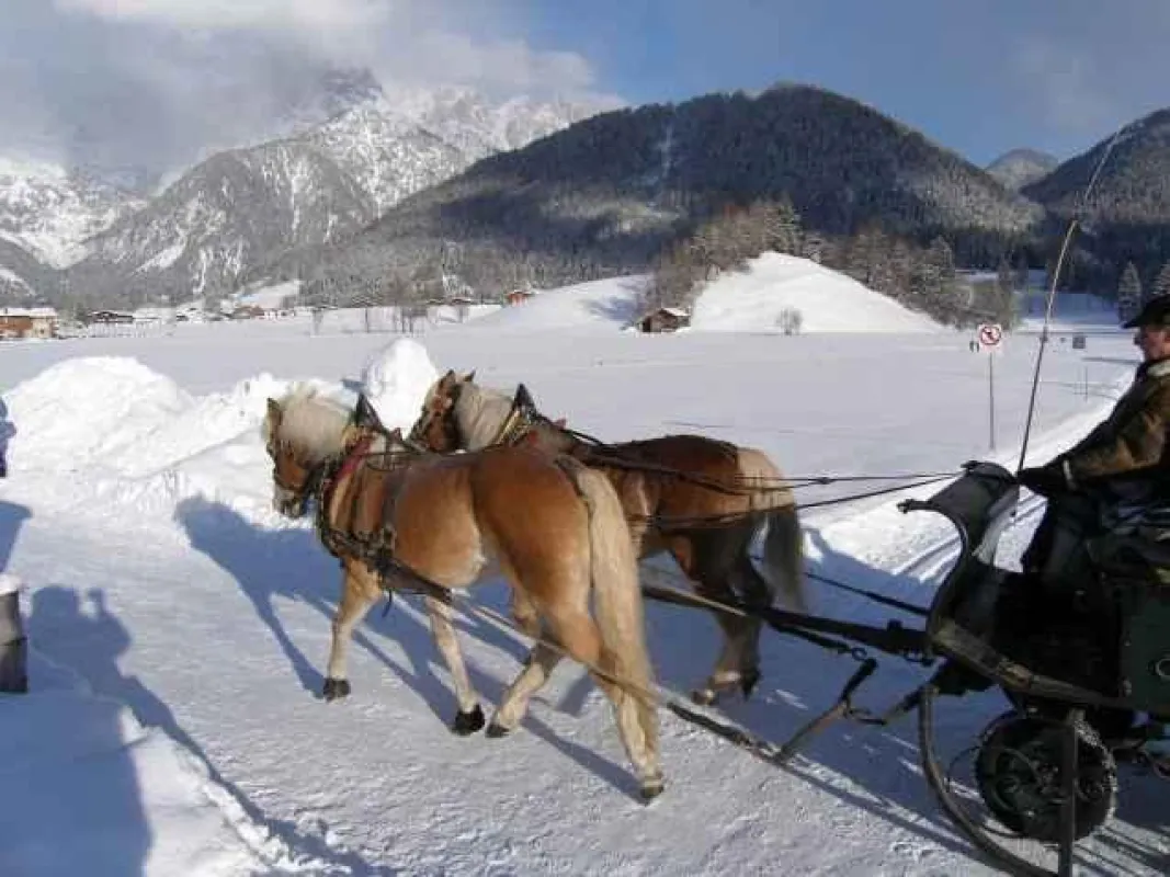 Romantische Kutschfahrt