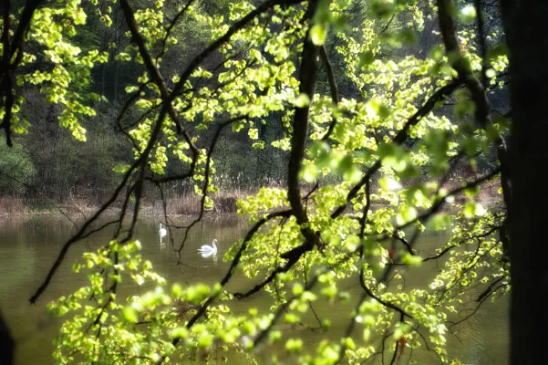 Bild: Hören und stören: Wie Geräusche die Erholung beeinflussen 