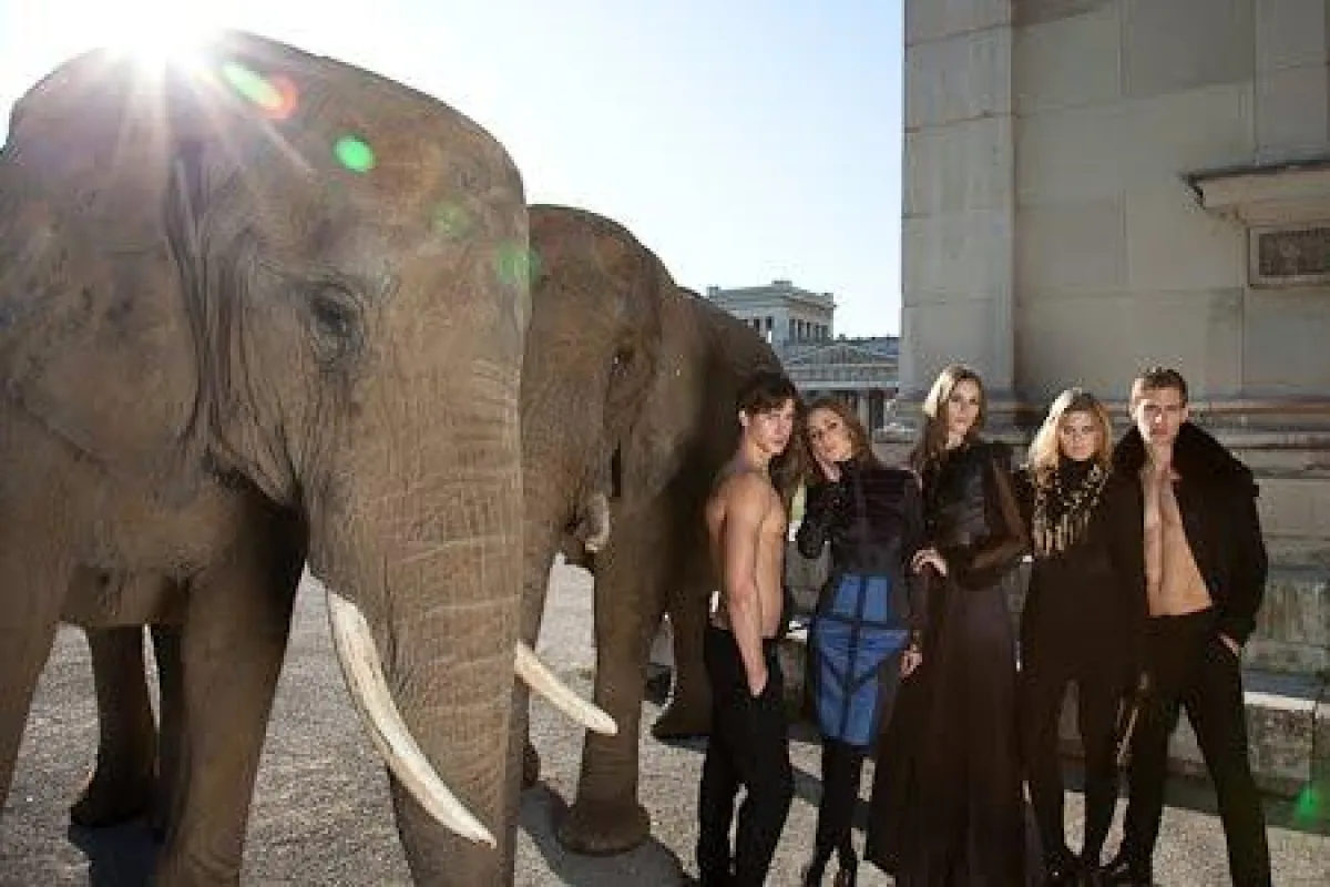 Königsplatz in München