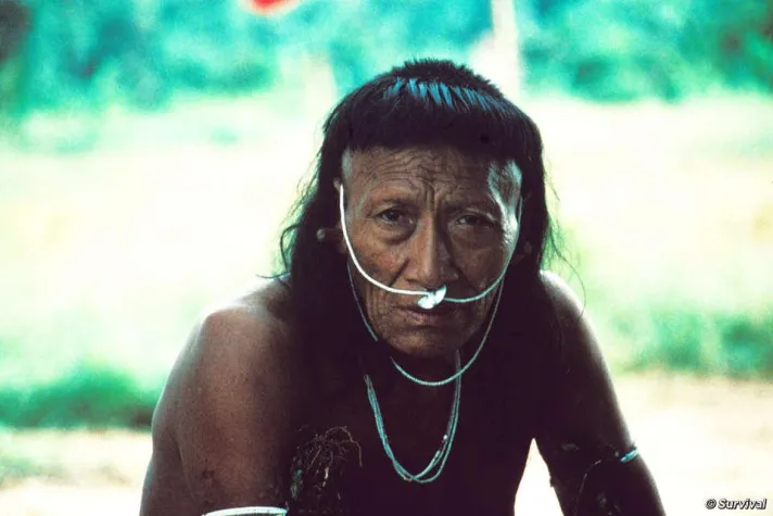 Peru trotzt UN-Richtlinien zu unkontaktierten Völkern Bild: Peru trotzt UN-Richtlinien zu unkontaktierten Völkern