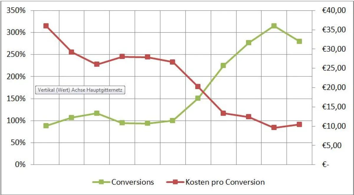 Darstellung des Erfolgs der Bloofusion-AdWords-Kampagne
