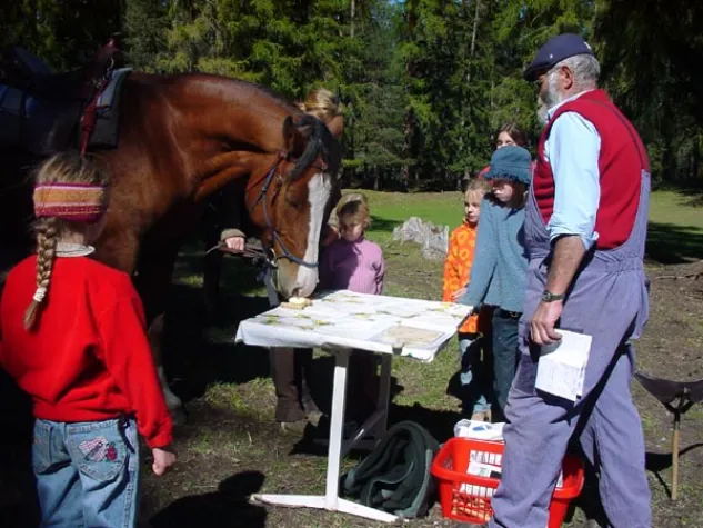 Mensch - Pferd - Management Bild: Mensch - Pferd - Management
