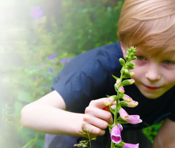 Giftige Pflanzen im Haus und Garten Bild: Giftige Pflanzen im Haus und Garten