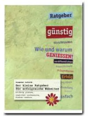 Der kleine Ratgeber für erfolgreiche Websites - Richtig planen, Qualität verbessern, Kosten senken Bild: Der kleine Ratgeber für erfolgreiche Websites - Richtig planen, Qualität verbessern, Kosten senken