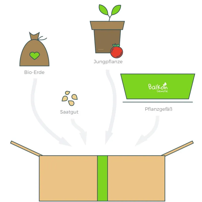 Die Komplettbox von Balkongemüse