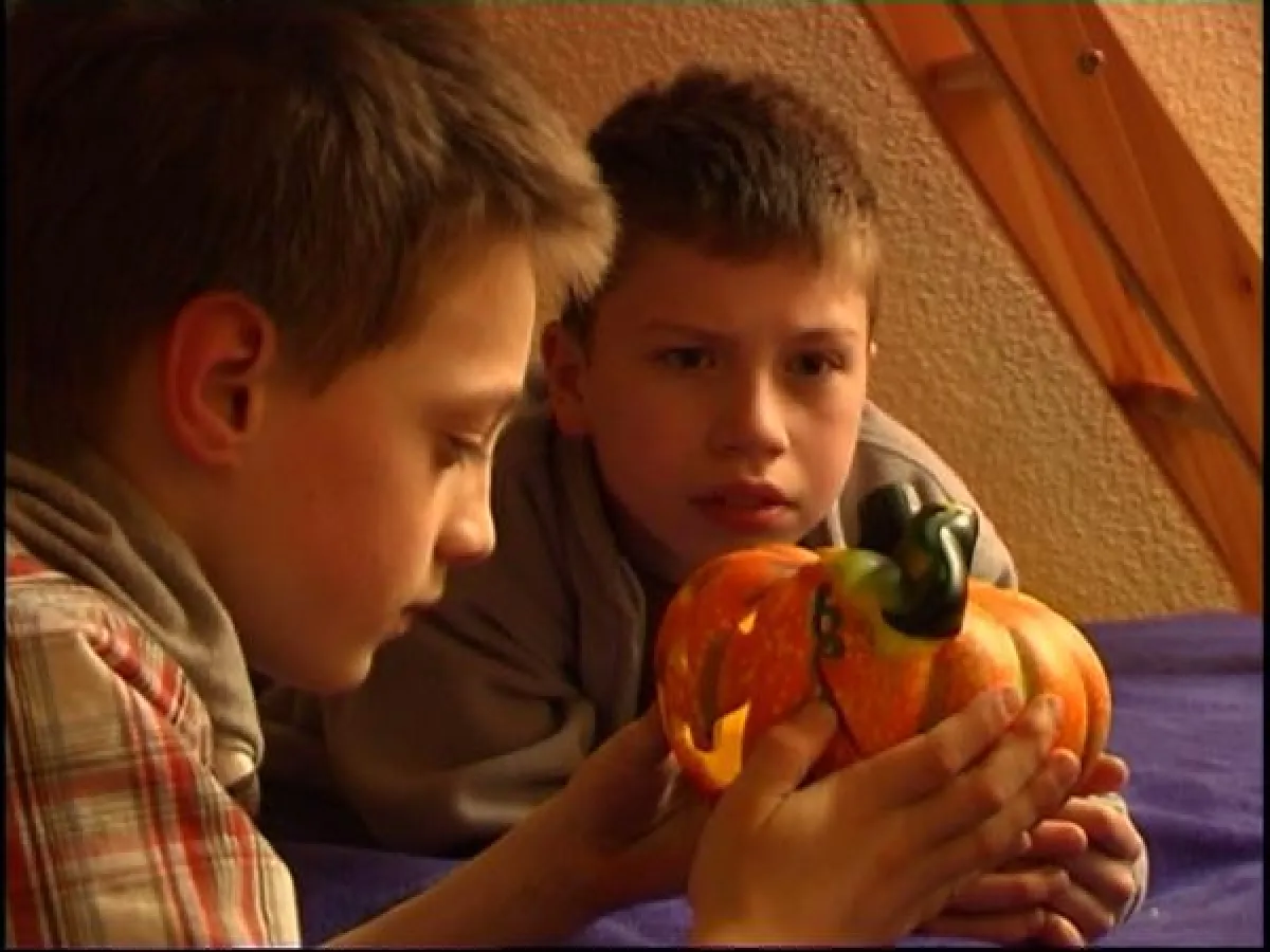 Ein sprechender Kürbis bringt Kim und Nico auf die Spuren von Halloween