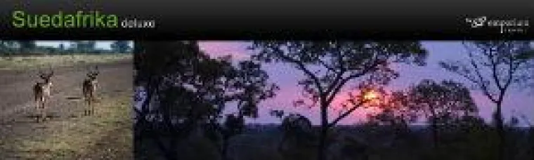 Bild: Südafrika Mietwagenrundreise für Familien