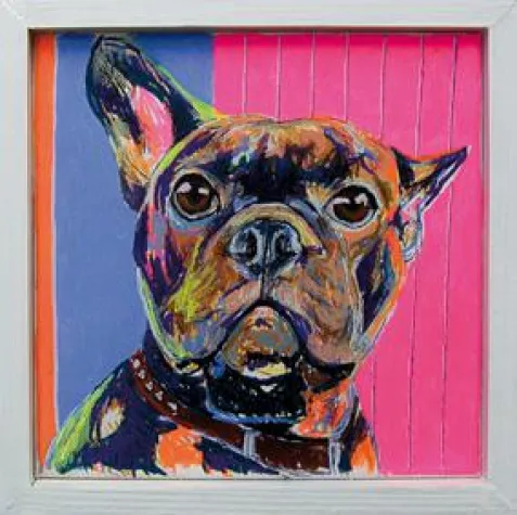 Bild: Einzigartige Hundeportraits – tapporaso supportet Jenny Waldbach