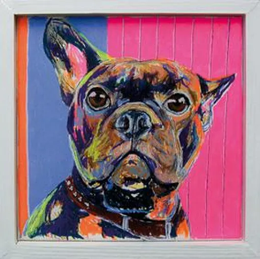 Bild: Einzigartige Hundeportraits – tapporaso supportet Jenny Waldbach